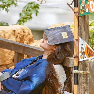沃尔多·沙特:编剧之旅